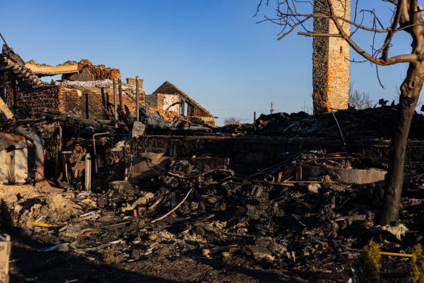 24/7 Emergency Content Restoration experts in Deer Park, TX
